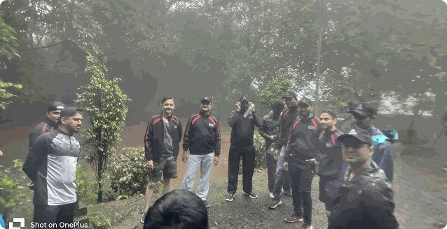 Alveo team activity